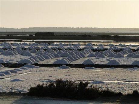 Marsala e dintorni: la mia vacanza