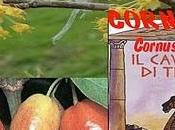 Corniolo (Cornus dimenticato Troia
