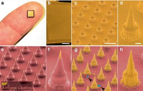 Il mercato mondiale delle nanotecnologie; la mappa piu' piccola al mondo; vaccini senza aghi