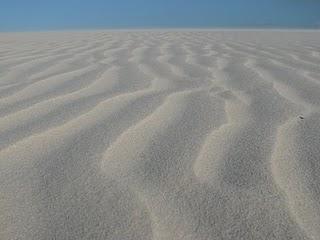 Lançois: dune e lagune