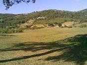 sapete