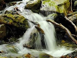 Cicogna, alpe Prà, Pogallo, Cicogna