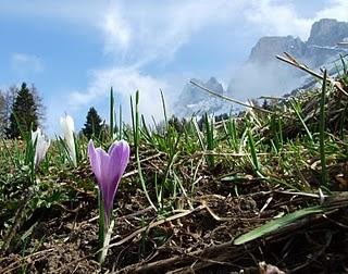 Il Catinaccio (Trentino Alto Adige)