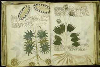 Voynich, un mistero tra le pagine