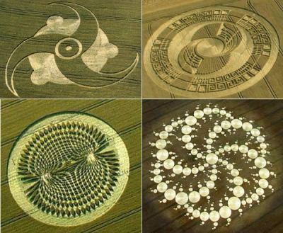 crop circles: seconda parte