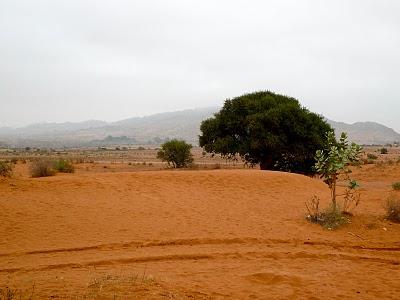 Vacanze… Paris, giusto il tempo di fare un salto aux Galleries La Fayette e il pieno di film, poi Marocco per scoprire Agadir, Marrakech, Essaouira...