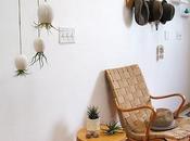 rubrica Dana: Michael McDowell Tillandsia.