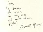 Poesie tratte PigmenTi Antonietta Gnerre