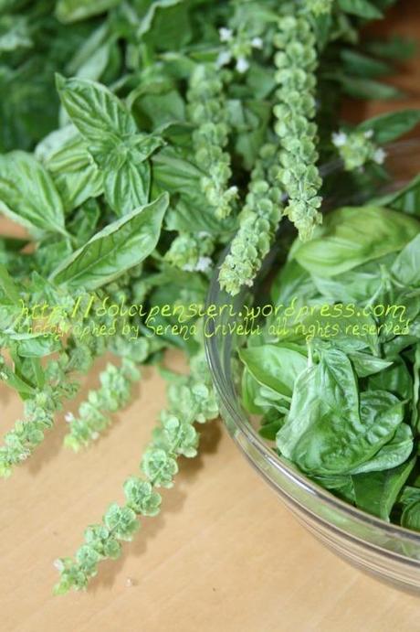 IL PESTO DI BASILICO di Dolcipensieri