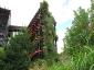 Il giardino verticale del Musée du quai Branly 14