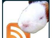 Cryptkeeper, system tray applet consente proteggere nostri dati occhi indiscreti Ubuntu.