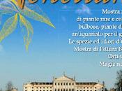 Horti Venetiani Villa Pisani, Strà.