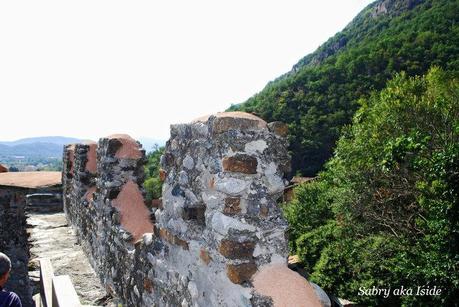 Giornata del Patrimonio  Archeologico della Valle di Susa.