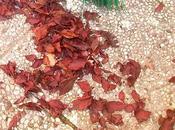 Autunno...