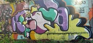 Fidenza graffiti