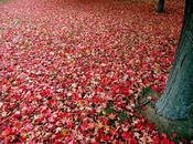 Aspettare, aspettarti