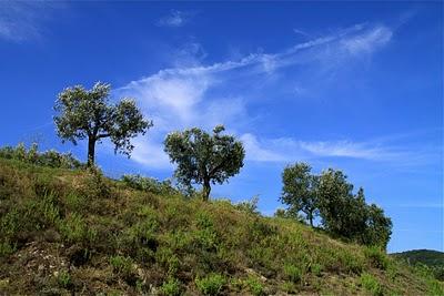 pensieri davanti un cielo azzurro