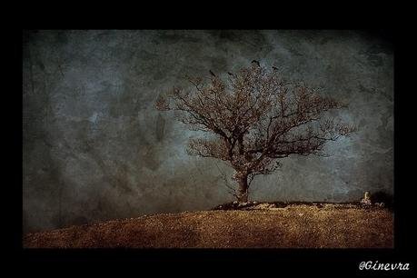 Nel tentativo di colpire una se stessa che fugge ...