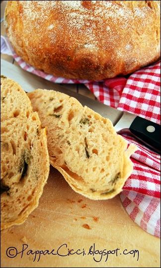 pane pomodoro ebasilico1