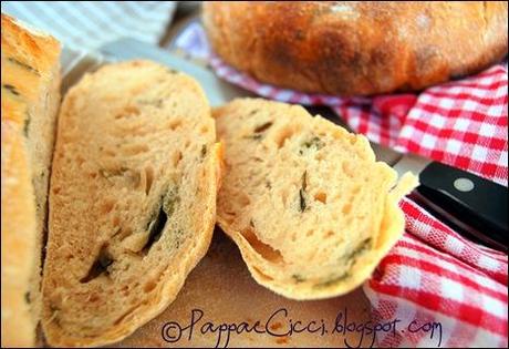 pane pomodoro e basilico2