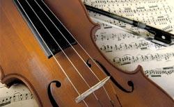 Violino