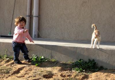 G come gatto: gatti libici per Roba da Gatti.