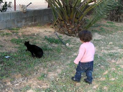 G come gatto: gatti libici per Roba da Gatti.