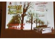 Magici Sorsi d’Autore Orgiano