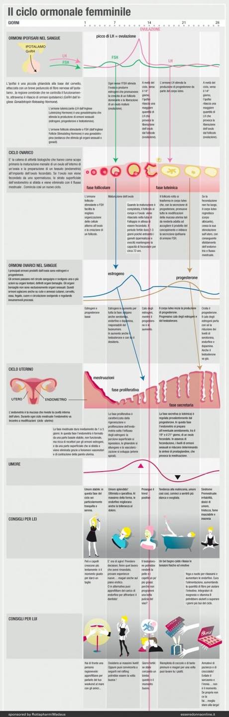 infografica sul ciclo mestruale 
