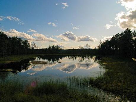 Lahemaa National Park