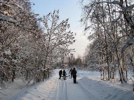 Kicksledding in Soomaa National Park