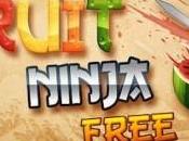 Fruit Ninja free gratuito Android novità, dopo successo tutto mondo questo gioco adesso potete usarlo vostro dispositivo Smatphone