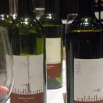 Anteprima Chianti Classico Collection 2012 Fi, produttori, vino val delle corti