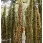 anni-leppala-in-the-park-reverse-2011-courtesy-photology-milano-225x300