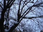 Fit' iberru mala fritta...