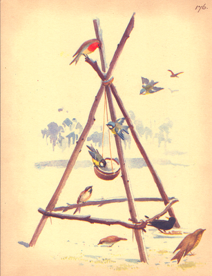 Edith Blackwell Holden: una lady edoardiana in mezzo alla natura