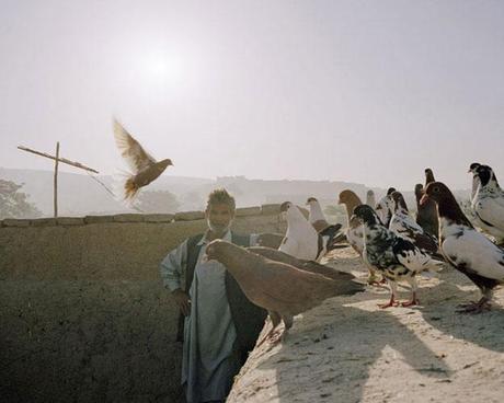 La fotografia di James Reeve