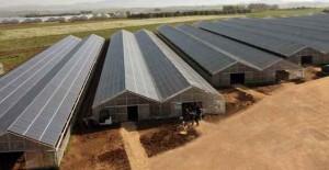 Comune di Villasor ‘Su Scioffu’: il parco solare da Guinness dei primati