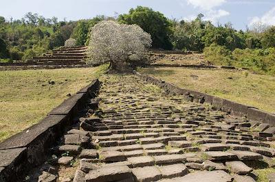 Lettere dal Laos 6: I frangipane di Wat Phu.