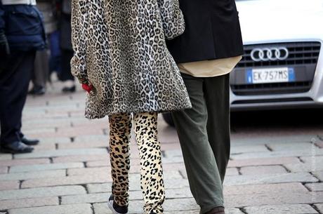 In the Street...Leopard Mix...Viale Piave, Milan