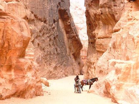 PETRA IL SOGNO CONTINUA