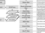 L’imprecisione degli messaggeri