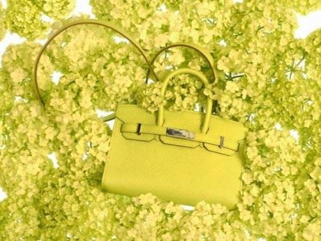 hermes-tiny-birkin-verde