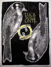 [link] A tu per tu con la street art