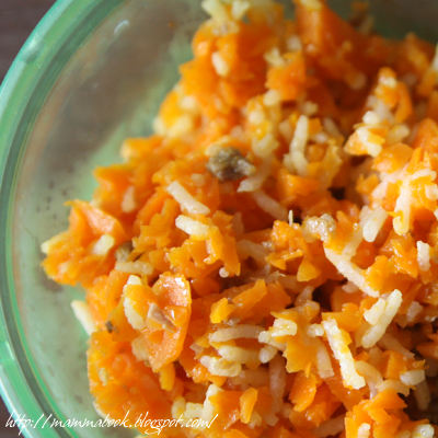 Pappa di carote e manzo (babyfood with beef and carrots)