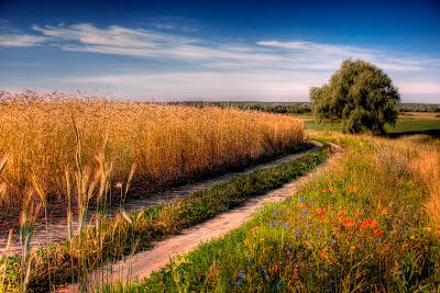 Non vivere su questa terra come un inquilino