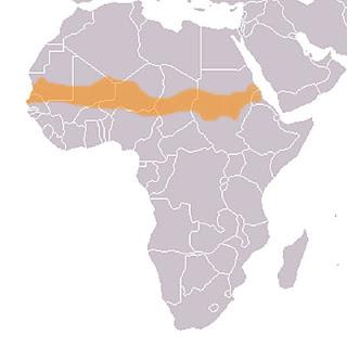 La crisi alimentare del Sahel