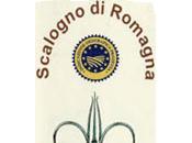 Scalogno Romagna