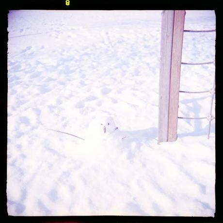 LOMOGRAPHY • WZFO ami 66 e Lomography Color Negative 100 - SNOW AGAIN!