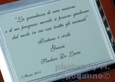 Moda : Dopo il NO....